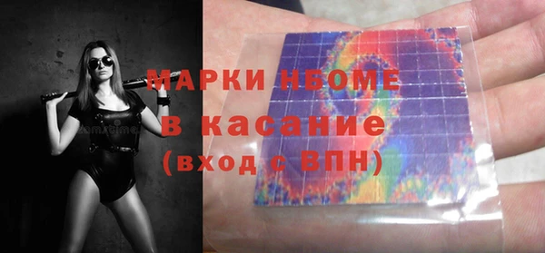 индика Корсаков